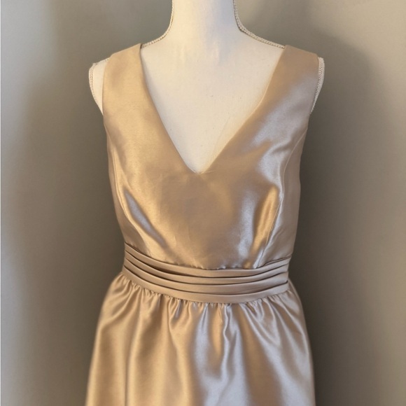 Backless Adrianna Papell, champagne, formal dress. Gorgeous. size 12 - Picture 2 of 16